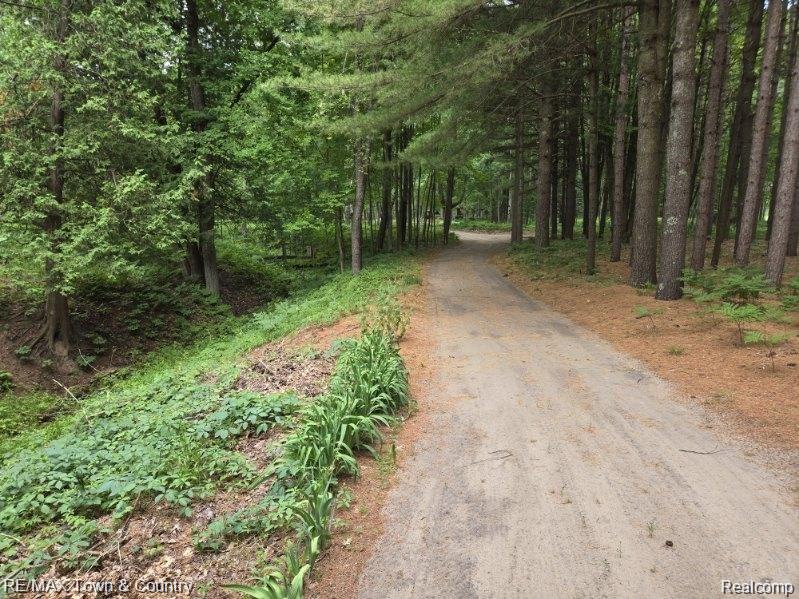 1293 Bellinger Road Gladwin, MI 48624 - Photo 5 of 27 Wooded property with a natural ground path and dense tree coverage