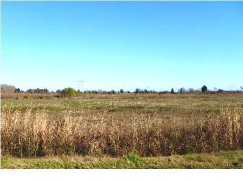 0 Hwy 95 Church Point Church Point, LA 70525 - Photo 1 of 1 Primary Photo