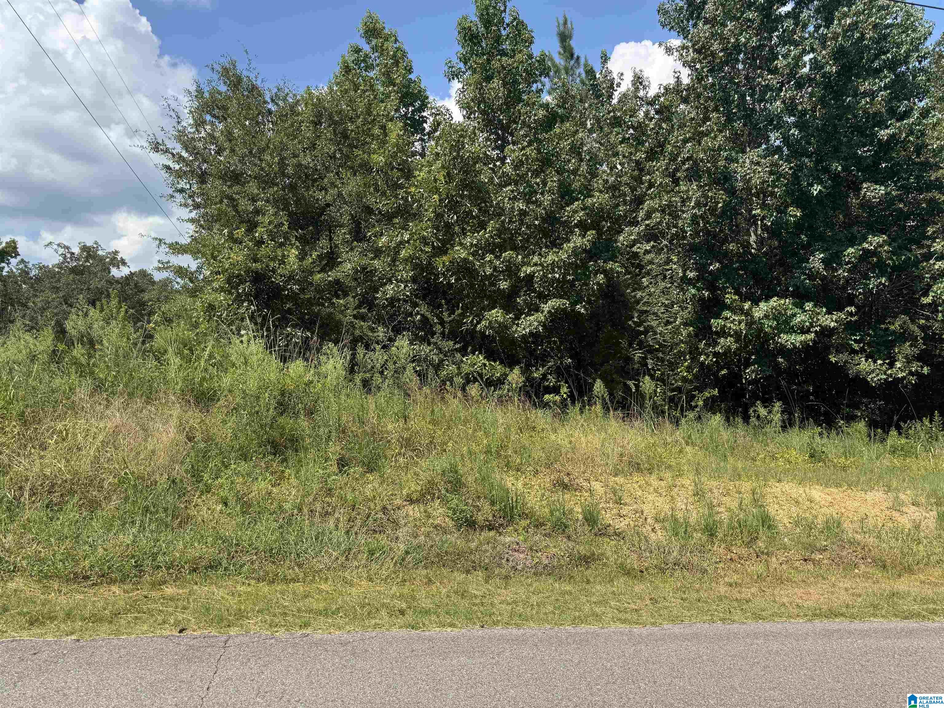 Short Town Road, Unit 123 West Blocton, AL 35184 - Photo 2 of 5