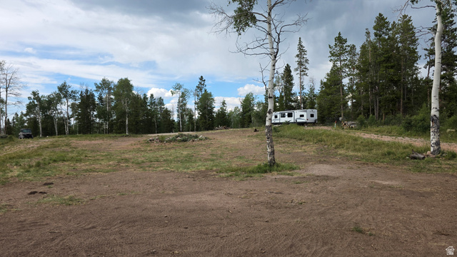 38 Spruce, Unit 38A Evanston, UT 82930 - Photo 6 of 15 Expansive cleared land parcel offering a mix of mature evergreen and deciduous trees, with a partially graded, level terrain