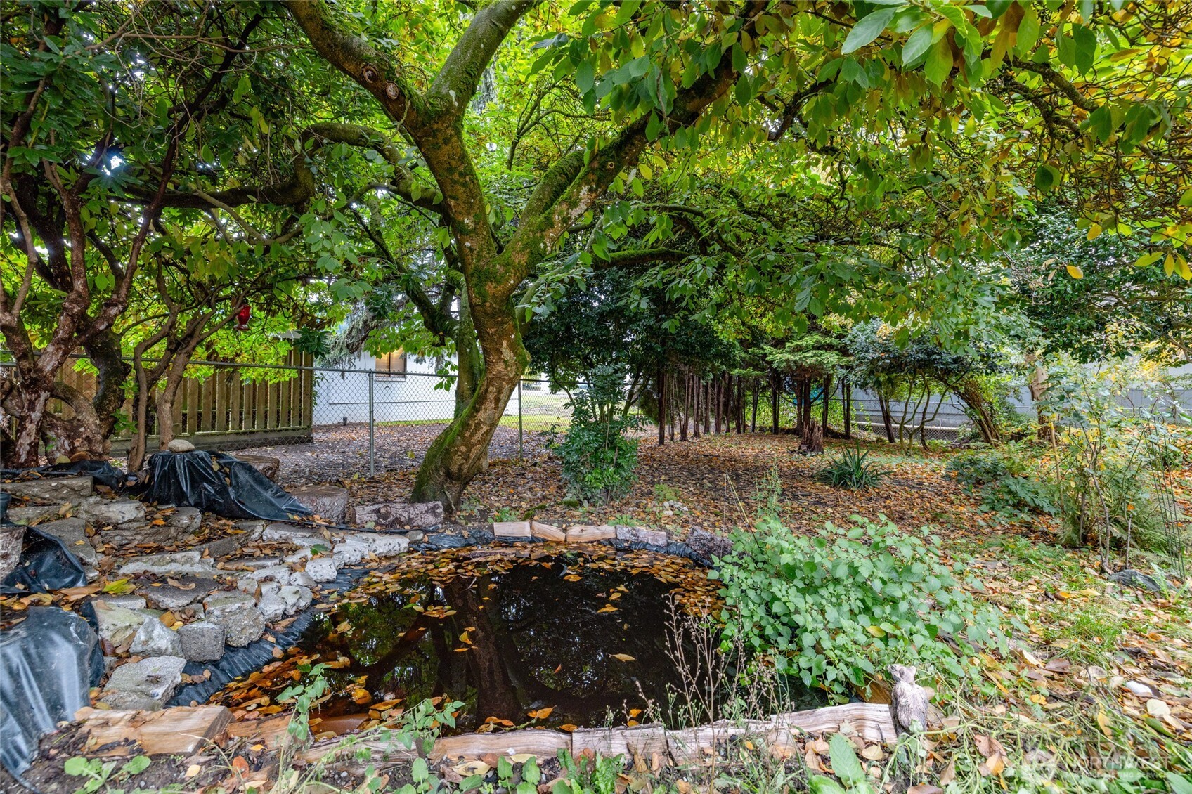 17662 Dunbar Road Mount Vernon, WA 98273 - Photo 16 of 18 a view of a garden with large trees