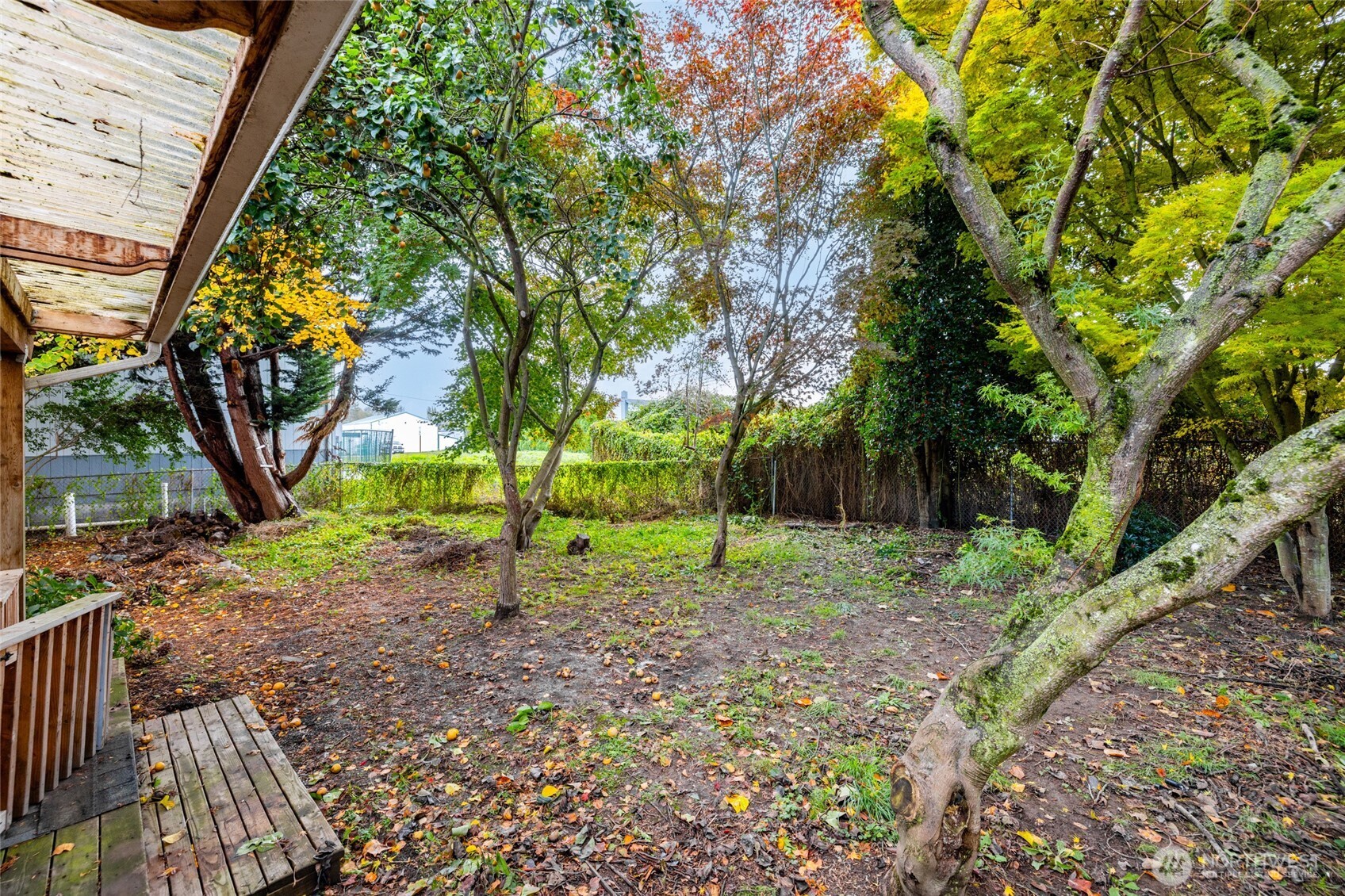 17662 Dunbar Road Mount Vernon, WA 98273 - Photo 17 of 18 a view of outdoor space with trees