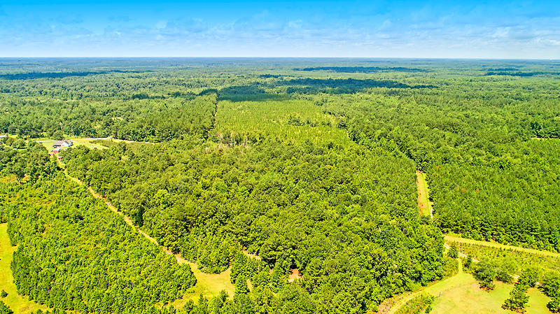 208 Creek Road Reevesville, SC 29471 - Photo 14 of 43 DJI_0168-copy