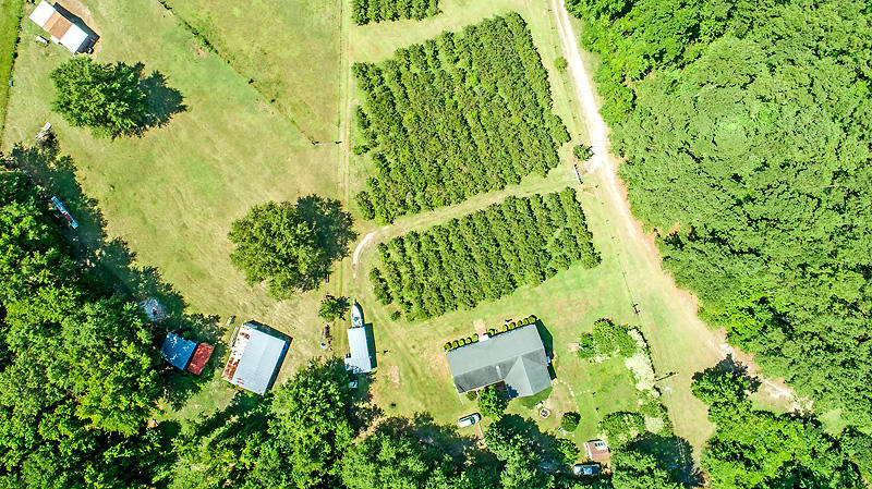 208 Creek Road Reevesville, SC 29471 - Photo 5 of 43 DJI_0159-copy