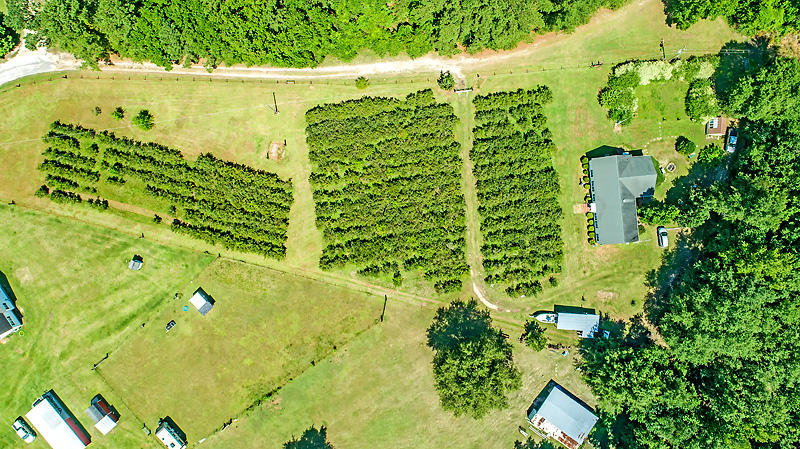 208 Creek Road Reevesville, SC 29471 - Photo 6 of 43 DJI_0160-copy