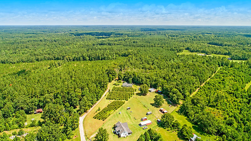 208 Creek Road Reevesville, SC 29471 - Photo 7 of 43 DJI_0161-copy