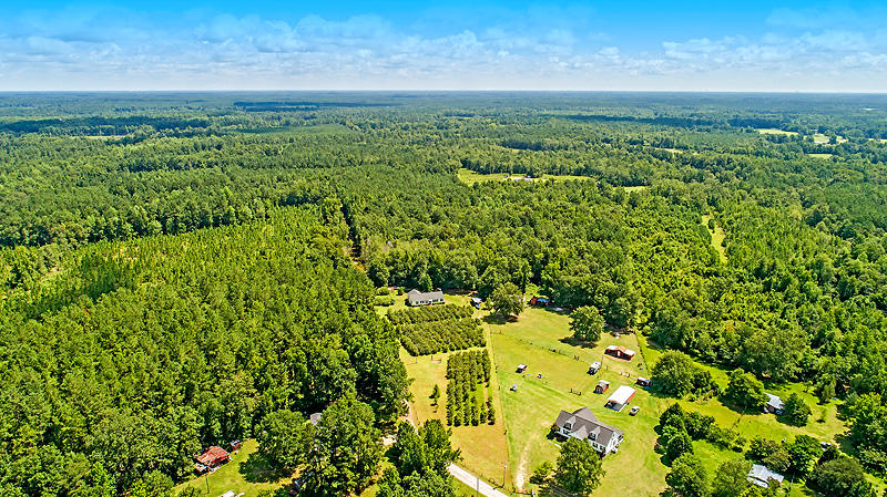 208 Creek Road Reevesville, SC 29471 - Photo 8 of 43 DJI_0162-copy