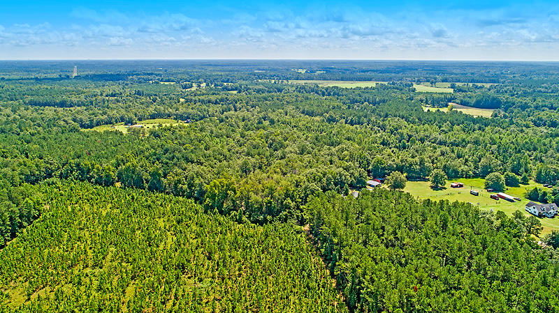 208 Creek Road Reevesville, SC 29471 - Photo 10 of 43 DJI_0164-copy