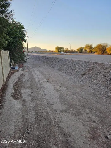 a view of a dry yard with trees