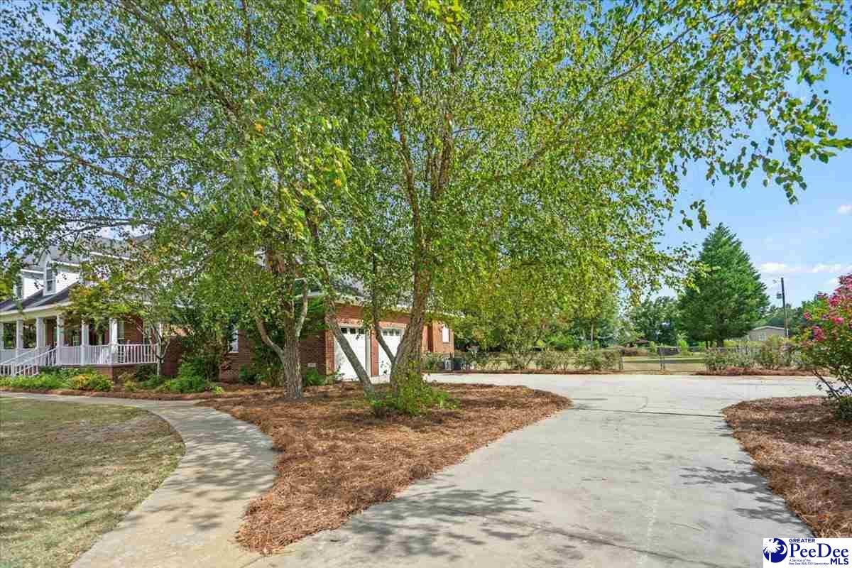 2271 Indian Branch Road Darlington, SC 29532 - Photo 50 of 66 Gallery Image 50