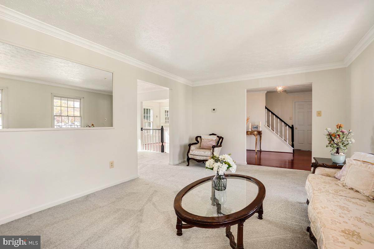 13436 Bregman Road Silver Spring, MD 20904 - Photo 19 of 45 Gallery Image 19