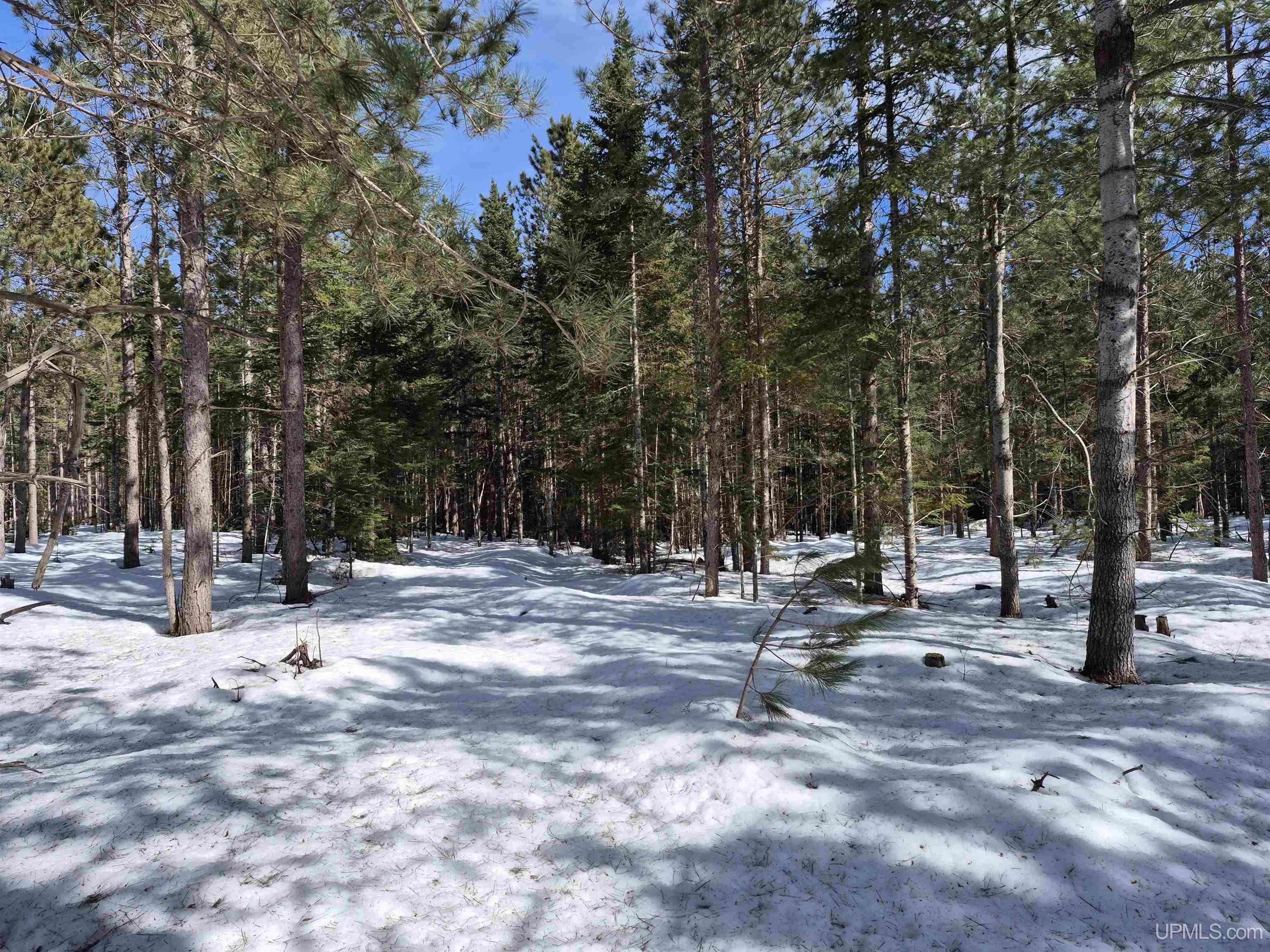20-acres Off Flodin Road Manistique, MI 49854 - Photo 4 of 29