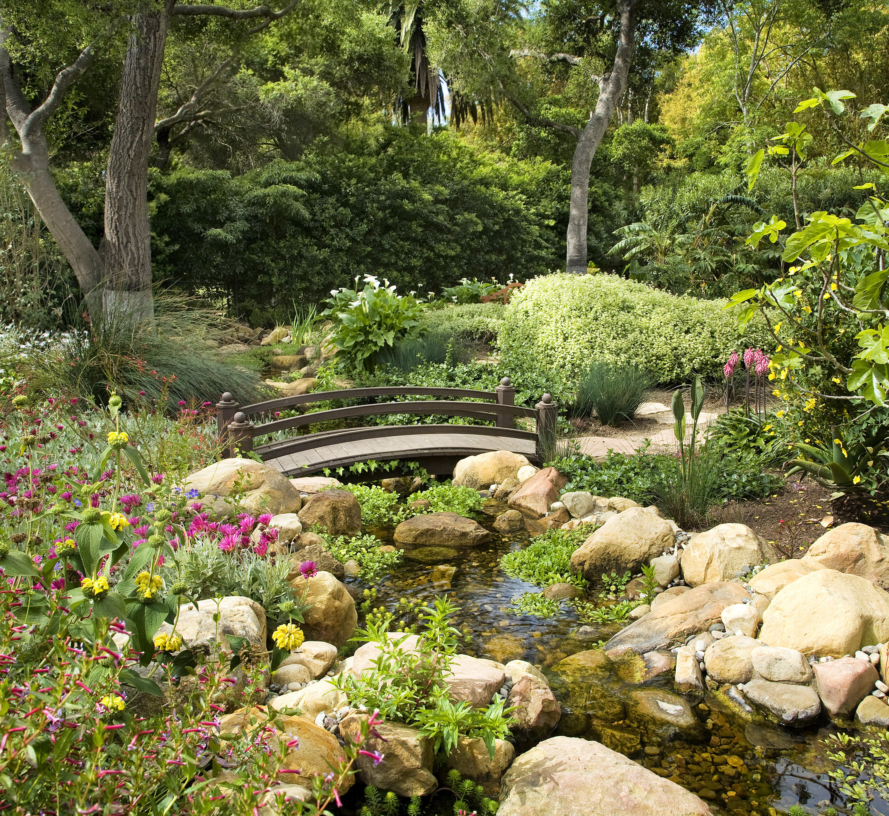 1422 East Valley Road Santa Barbara, CA 93108 - Photo 22 of 25 a bunch of flowers in a garden