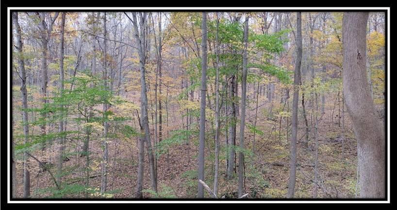 2169 Mohawk Coal Road Wellston, OH 45692 - Photo 37 of 58 image037