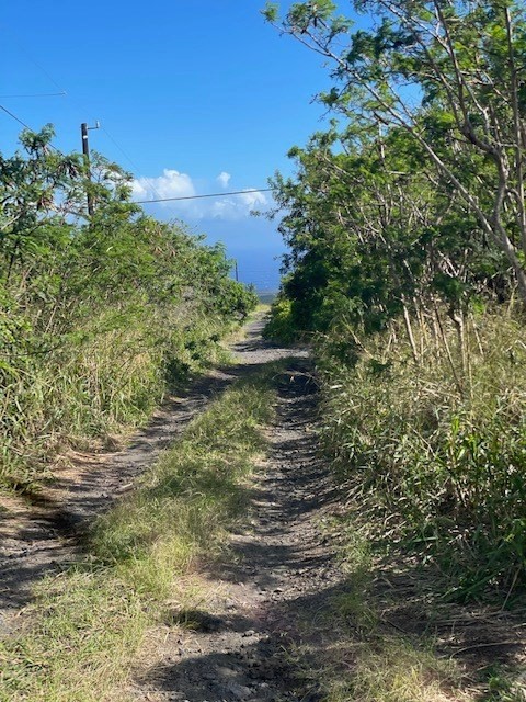 6 Holowai Road Naalehu, HI 96772 - Photo 4 of 6 a view of a lake with large trees