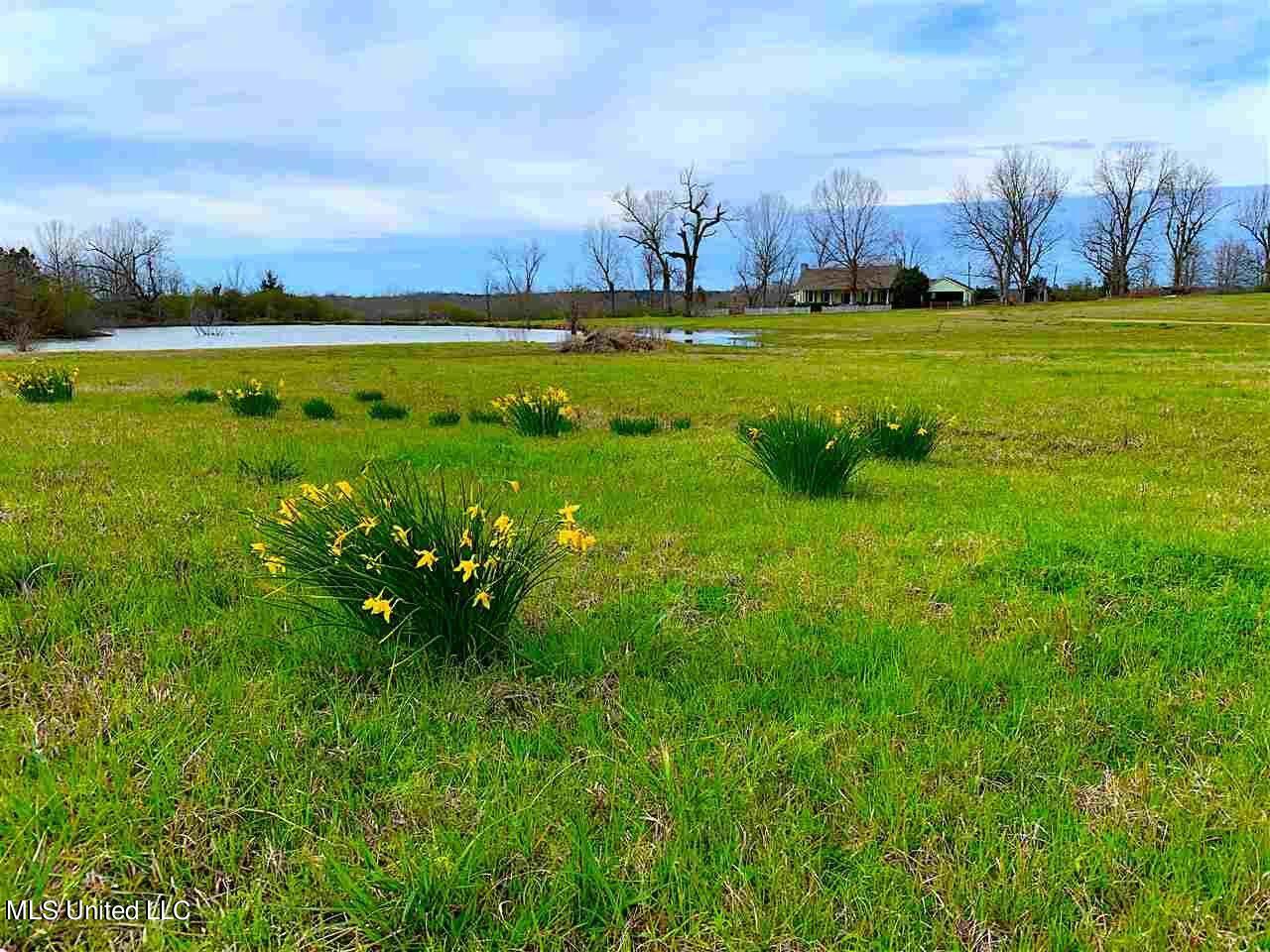 3944 Davis Road Benton, MS 39039 - Photo 13 of 43 IMG_0236
