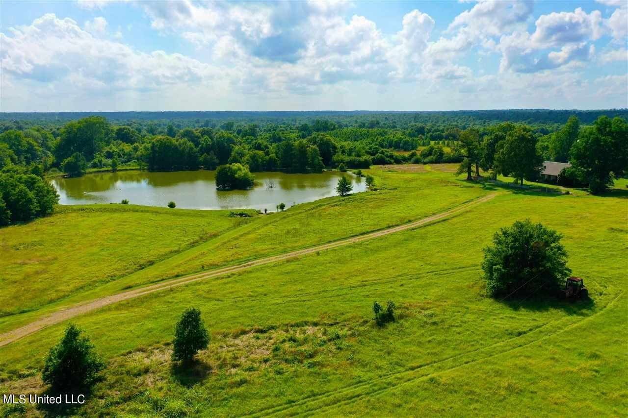 3944 Davis Road Benton, MS 39039 - Photo 19 of 43 IMG_0242