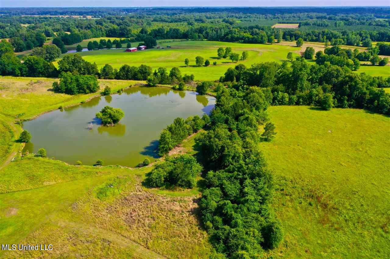 3944 Davis Road Benton, MS 39039 - Photo 20 of 43 IMG_0243