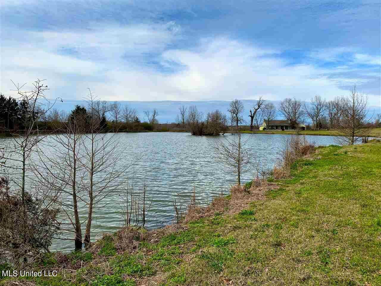 3944 Davis Road Benton, MS 39039 - Photo 25 of 43 IMG_0249