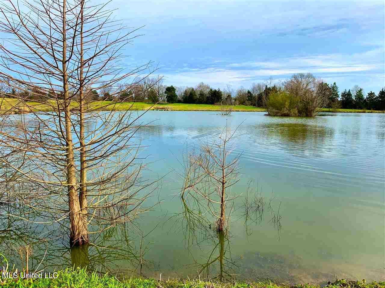 3944 Davis Road Benton, MS 39039 - Photo 27 of 43 IMG_0251