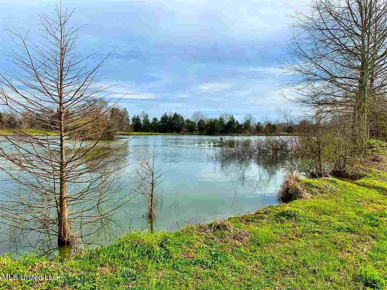 3944 Davis Road Benton, MS 39039 - Photo 29 of 43 IMG_0253