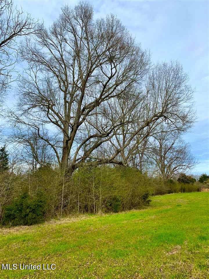 3944 Davis Road Benton, MS 39039 - Photo 39 of 43 IMG_0266