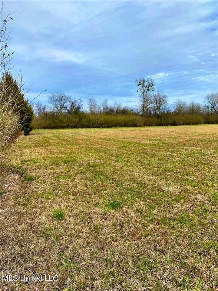 3944 Davis Road Benton, MS 39039 - Photo 40 of 43 IMG_0267