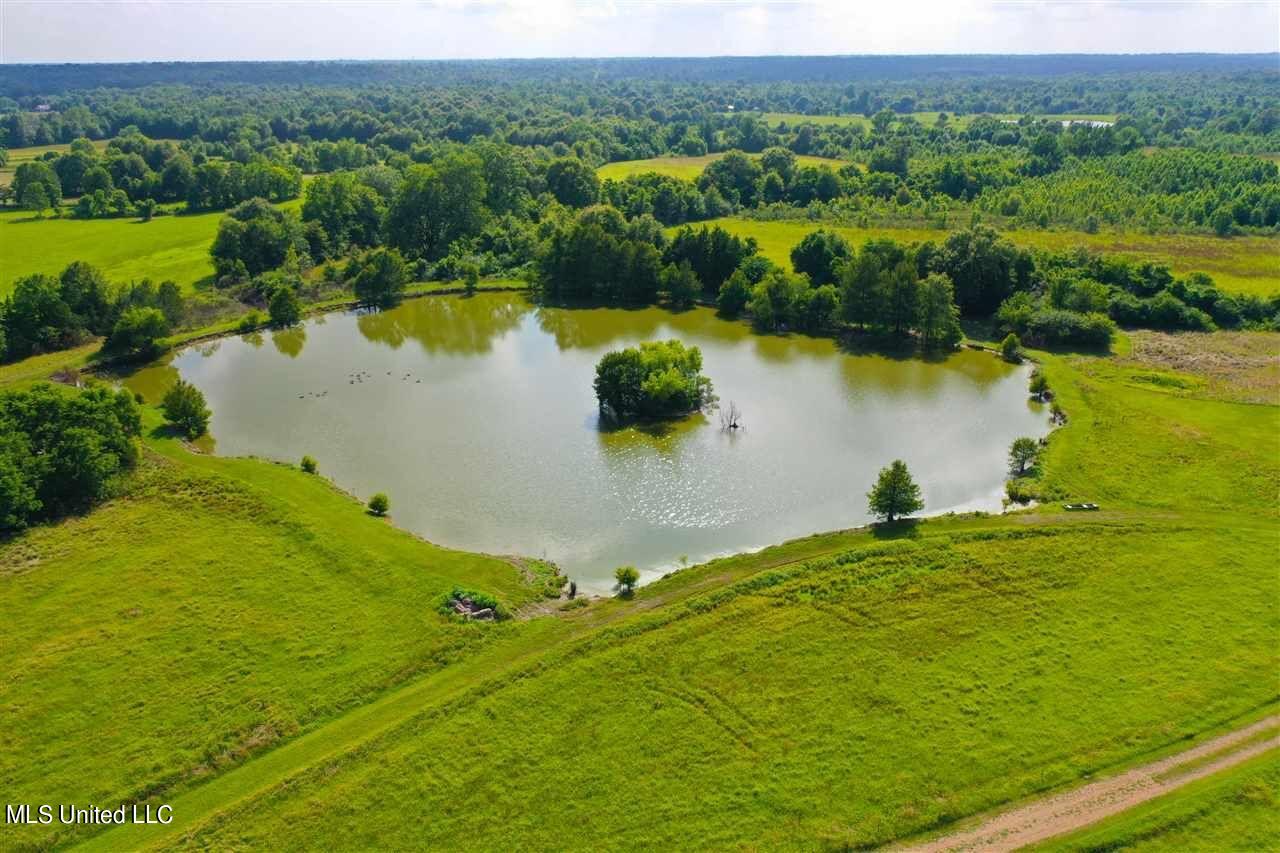 3944 Davis Road Benton, MS 39039 - Photo 5 of 43 IMG_0228