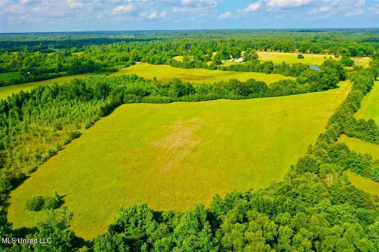 3944 Davis Road Benton, MS 39039 - Photo 6 of 43 IMG_0229