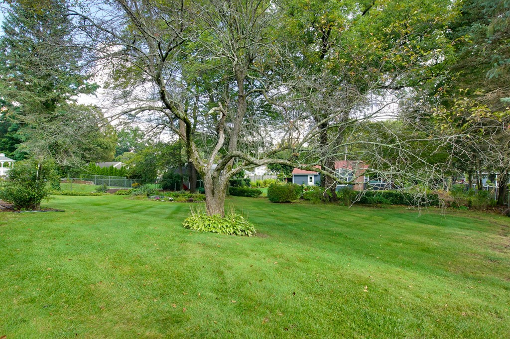 24 Highgate Road Framingham, MA 01701 - Photo 21 of 24 Gallery Image 21