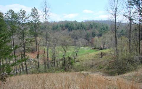 Hanging Dog Road Murphy, NC 28906 - Photo 1 of 1 Main View