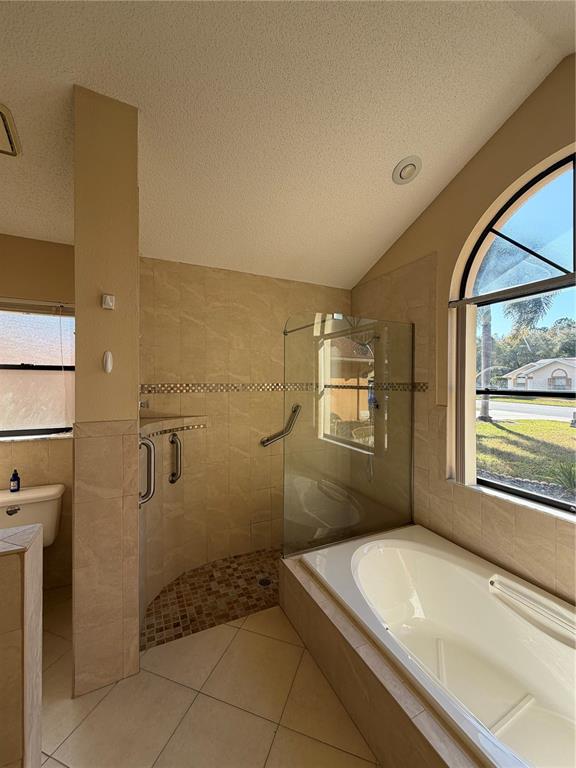 1716 Percheron Drive Trinity, FL 34655 - Photo 19 of 29 a bathroom with a granite countertop sink a toilet and a shower