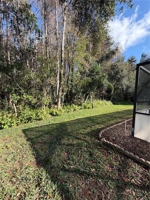 1716 Percheron Drive Trinity, FL 34655 - Photo 3 of 29 a view of a park