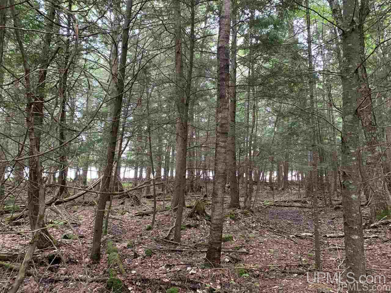 Tbd West Kemppainen Road Covington, MI 49919 - Photo 2 of 8
