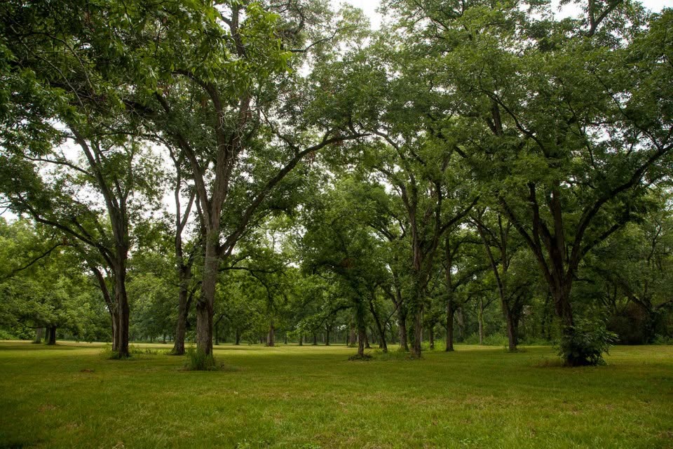 4342 Dobrovolny Road Bryan, TX 77807 - Photo 13 of 24 Gallery Image 13