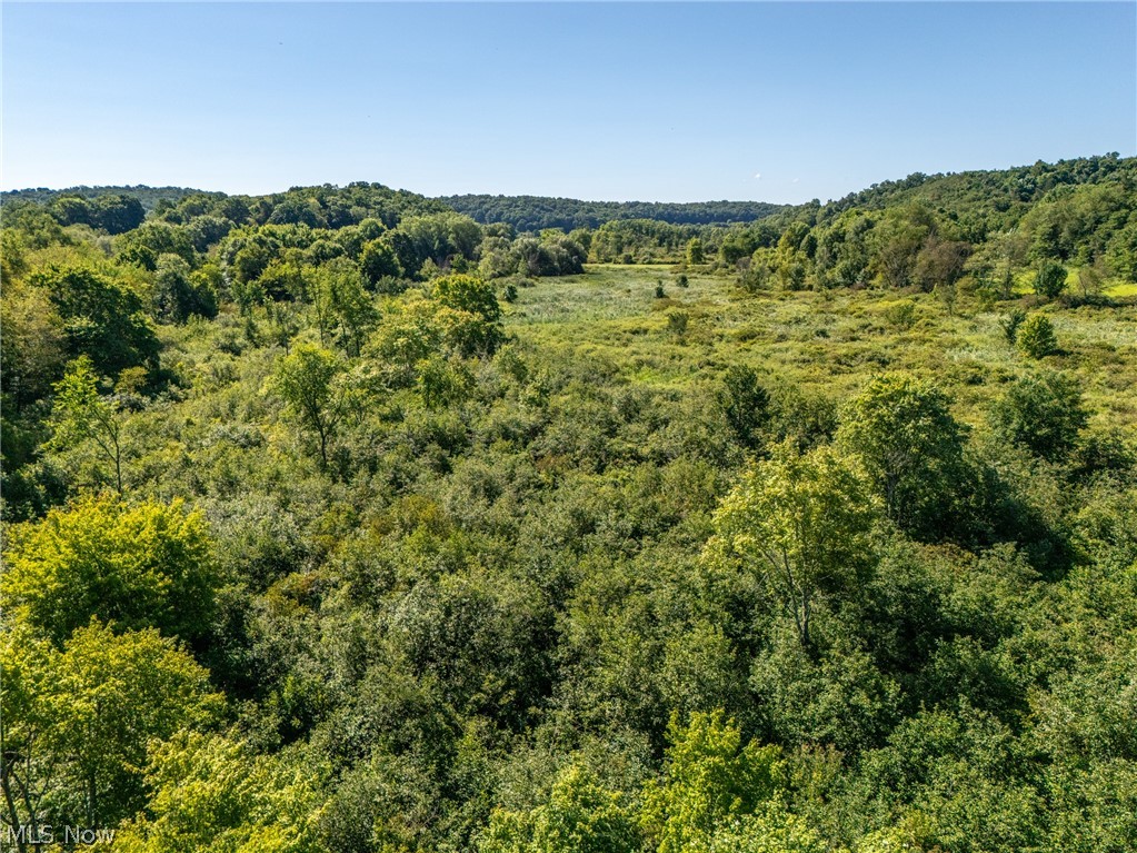 West Egypt Road Minerva, OH 44657 - Photo 13 of 16 Gallery Image 13