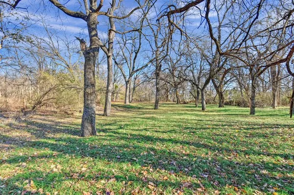 a view of backyard with green space