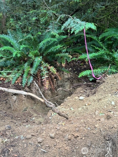 0 Northwest Pioneer Road Seabeck, WA 98380 - Photo 11 of 12 Gallery Image 11