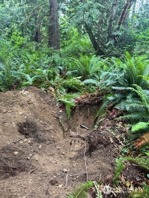 0 Northwest Pioneer Road Seabeck, WA 98380 - Photo 12 of 12 Gallery Image 12
