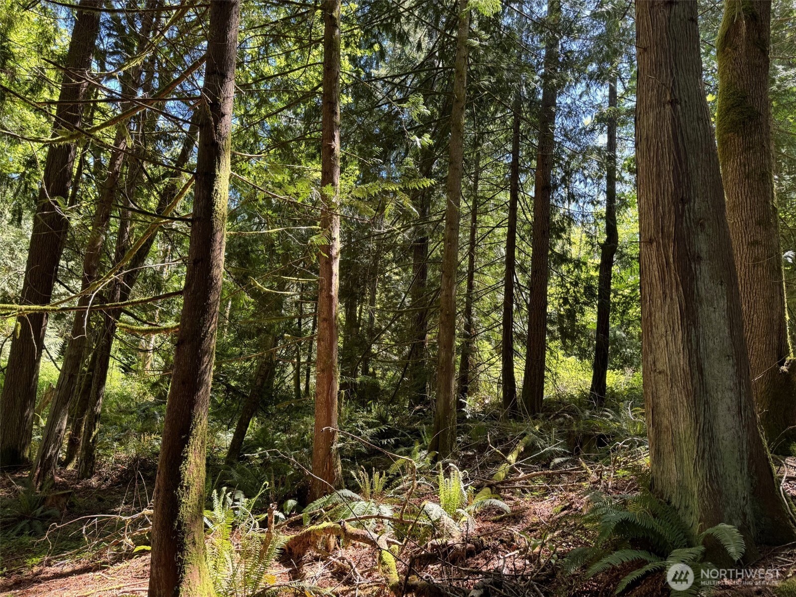 0 Northwest Pioneer Road Seabeck, WA 98380 - Photo 2 of 12 Gallery Image 2