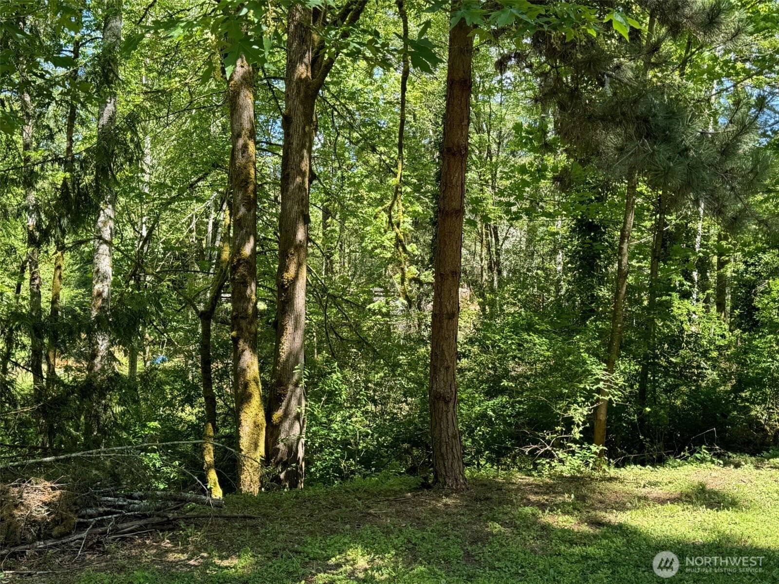 0 Northwest Pioneer Road Seabeck, WA 98380 - Photo 4 of 12 Gallery Image 4