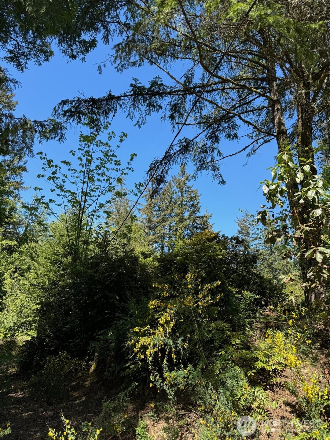 0 Northwest Pioneer Road Seabeck, WA 98380 - Photo 5 of 12 Gallery Image 5
