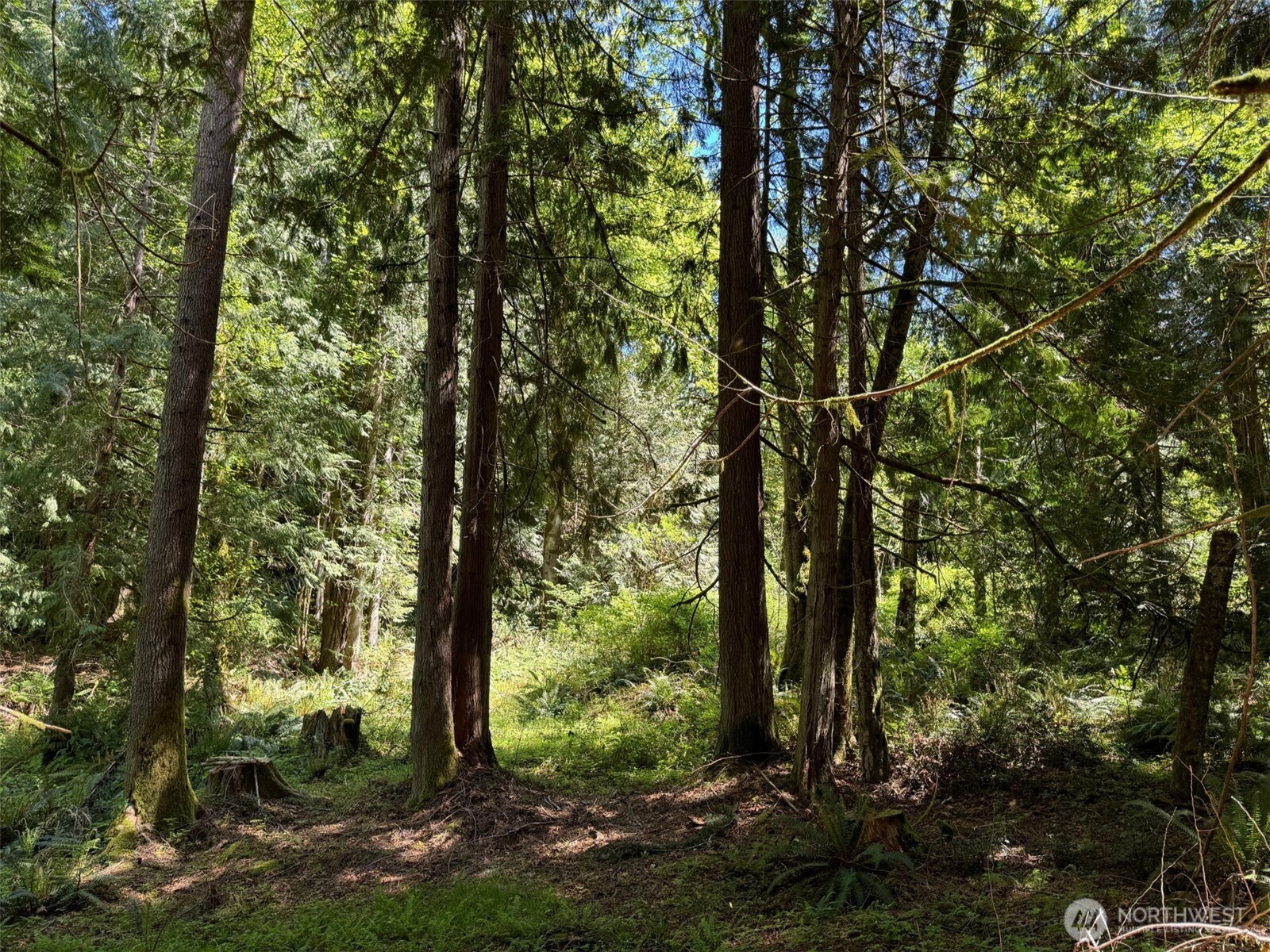 0 Northwest Pioneer Road Seabeck, WA 98380 - Photo 8 of 12 Gallery Image 8
