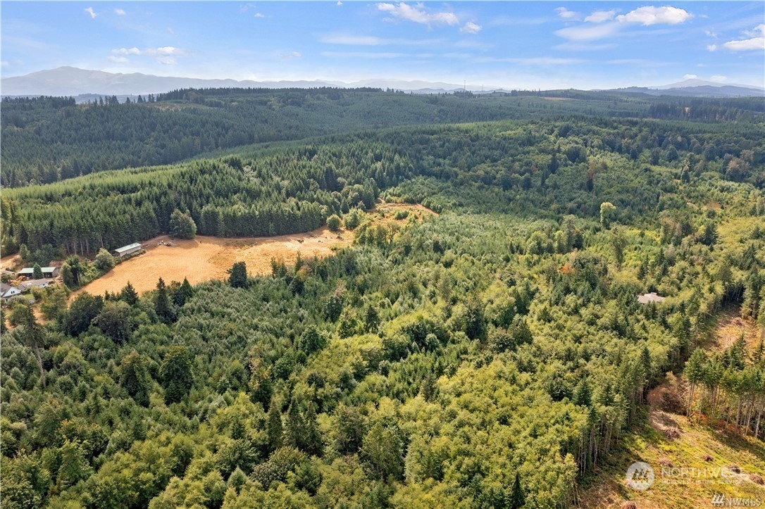 2 Ceres Hill Road, Unit 2 Chehalis, WA 98532 - Photo 5 of 13 a view of a lake with a mountain in the background