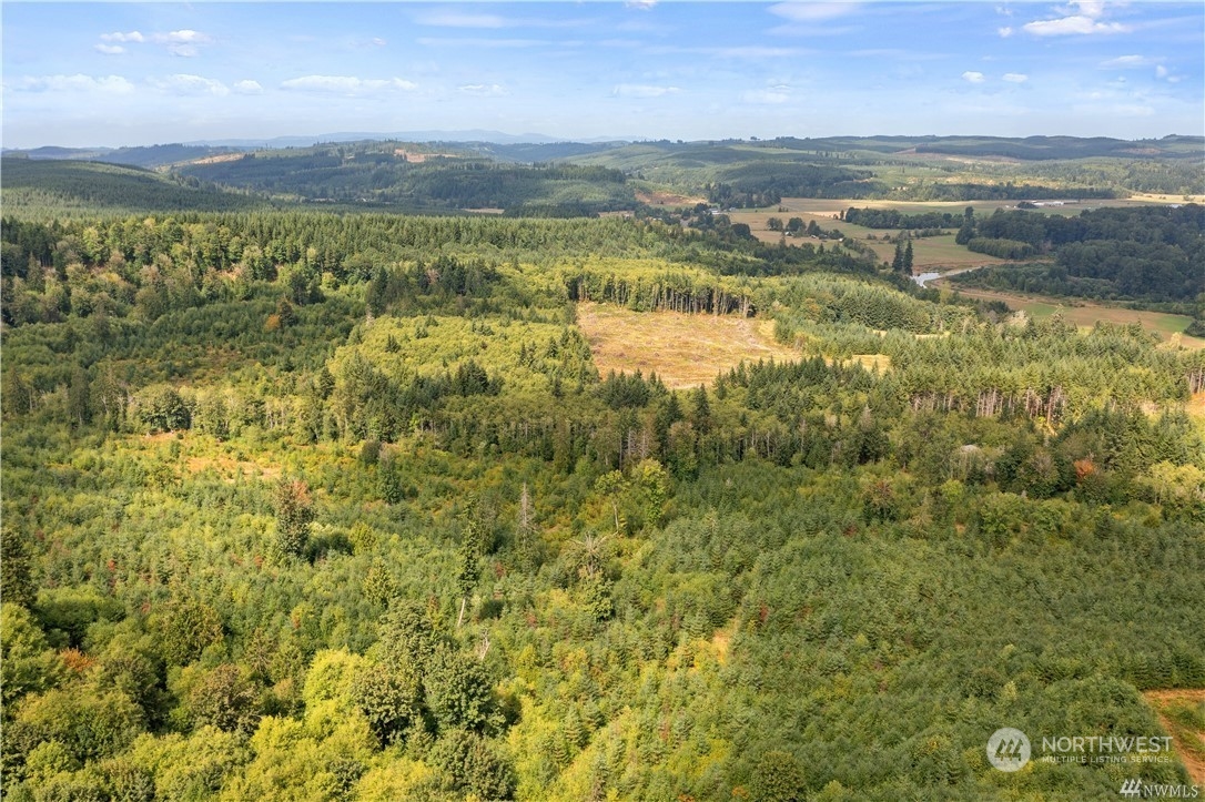 2 Ceres Hill Road, Unit 2 Chehalis, WA 98532 - Photo 7 of 13 a view of an ocean and a mountain