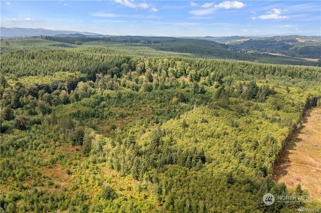 2 Ceres Hill Road, Unit 2 Chehalis, WA 98532 - Photo 8 of 13 a view of a city with an outdoor space