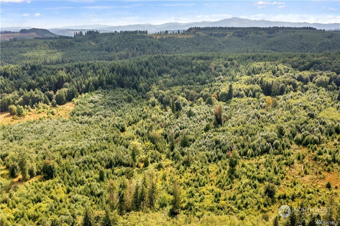 2 Ceres Hill Road, Unit 2 Chehalis, WA 98532 - Photo 10 of 13 a view of a forest with a mountain