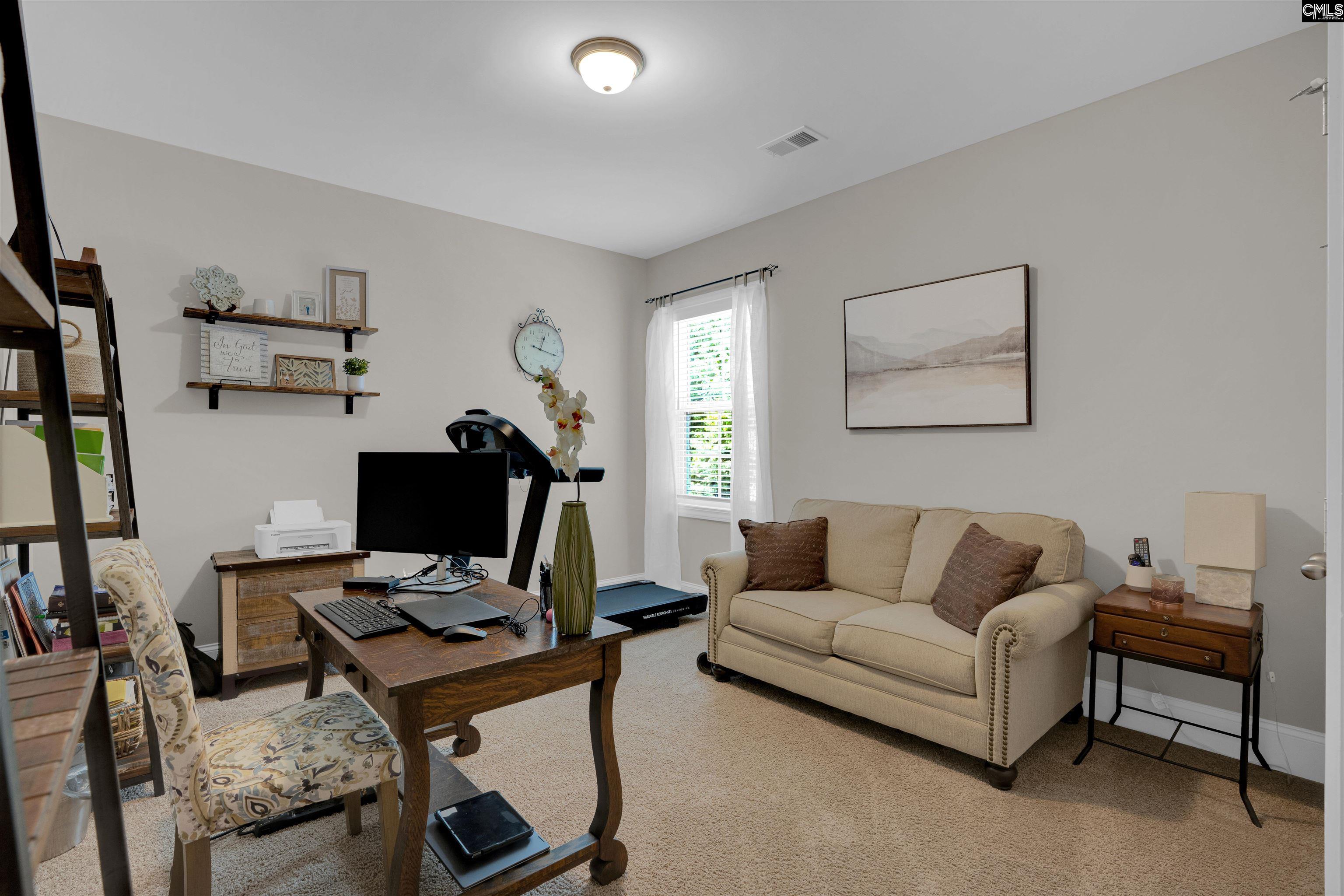 238 Hilton View Court Chapin, SC 29036 - Photo 27 of 63