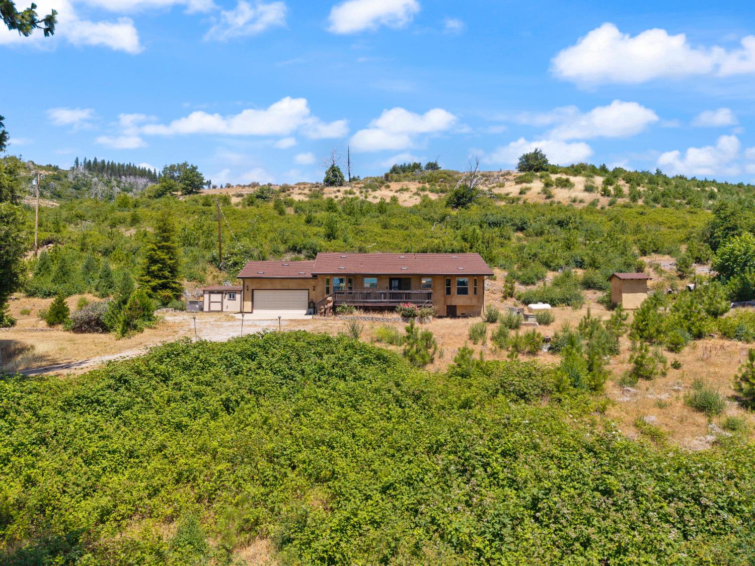 a view of a garden with a house in a back yard