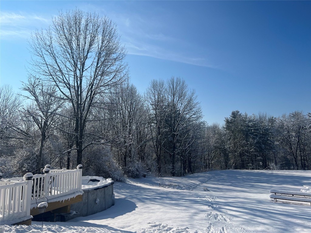 1436 Carmichael Road Owego, NY 13827 - Photo 35 of 37 Gallery Image 35